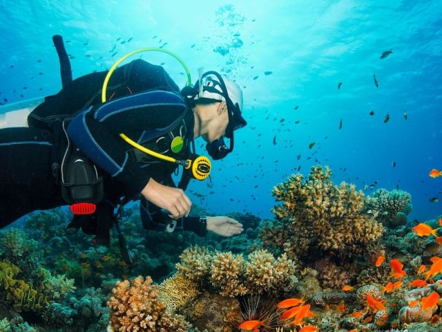 Dalış (Scuba Diving) Turu